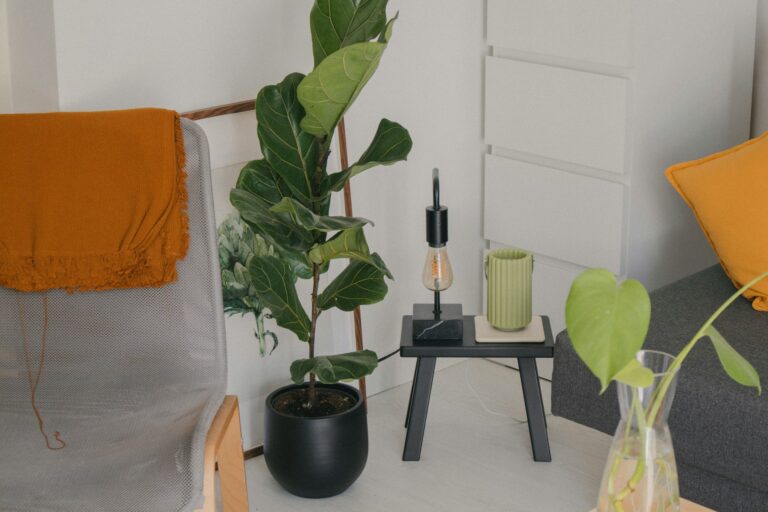 Décoration dans un appartement