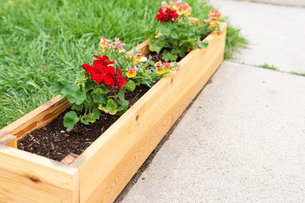 Jardinière avec des fleurs